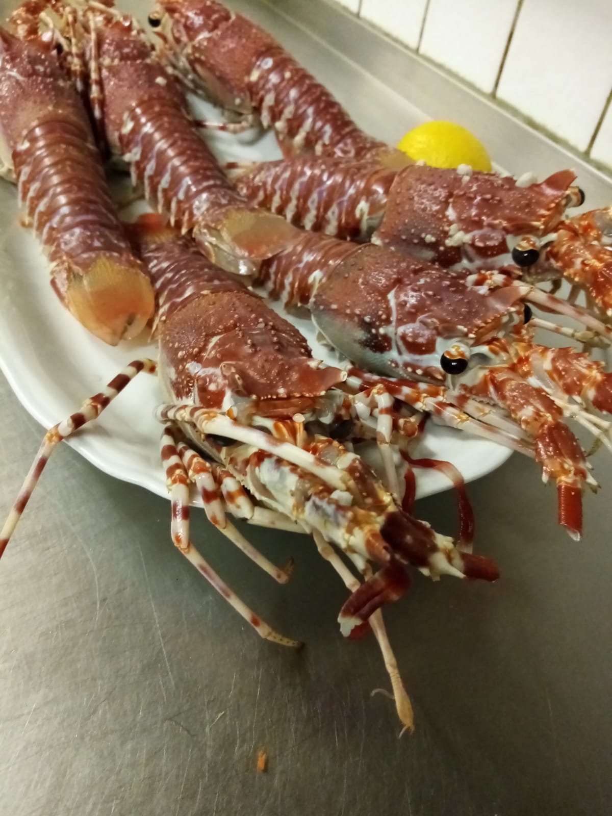 IMG-20260510-WA0012